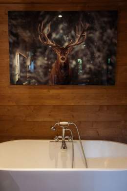 Baignoire dans un chalet avec un cadre de cerf au dessus